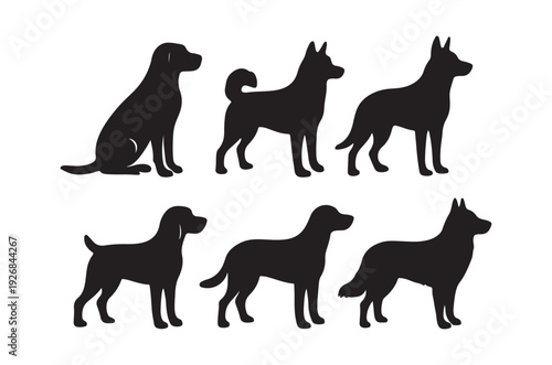 Silhouettes of six different breeds of dogs in a row