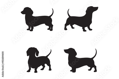 Four dachshund silhouettes showcase the breed s distinctive long body