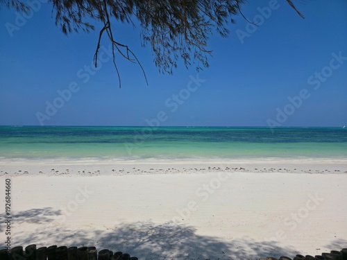Zanzibar beach, blue ocean