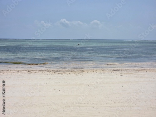 Zanzibar beach, blue ocean