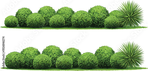 Decorative garden bushes and shrubs vector illustration set with lush green foliage hedge plants isolated on white background for landscape design projects