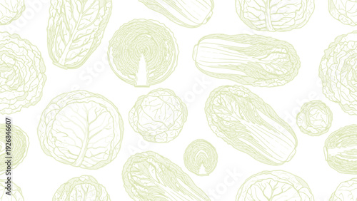Pattern of various cabbage outlines in pale green on a white background. Includes diverse cabbage types, creating a fresh, organic feel.