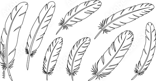 Simple outline feathers in a natural style, perfect for graphic design projects