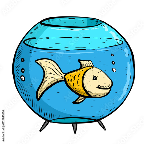 fish in the aquarium