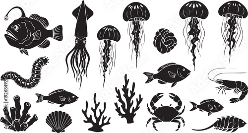 Black and white illustration set of various marine animals and sea elements: anglerfish, squid, jellyfish, shrimp, crab, fish, coral, and seashell.