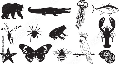 Diverse animal silhouettes for design: bear, crocodile, jellyfish, tuna, starfish, spider, frog, parrot, lobster, bee, butterfly, and nautilus shell.