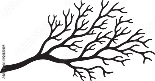 Black tree branch silhouette on white background illustration