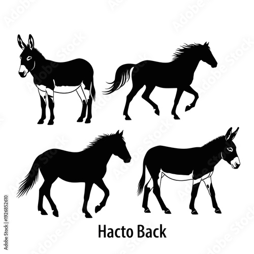 Donkey Silhouettes in Various Poses.