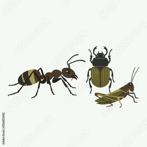 Illustration of Ant Beetle and Grasshopper.