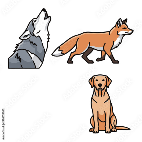 Illustration of Wolf Fox and Dog.