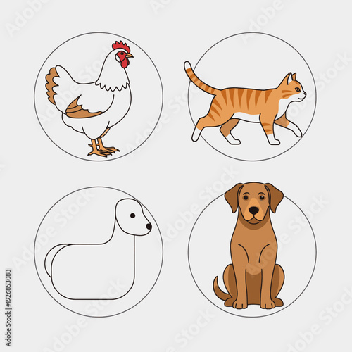 Illustrations of Various Domesticated Animals.