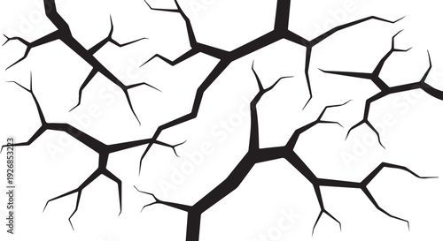 Cracked Surface with Black Lines on White Background Texture