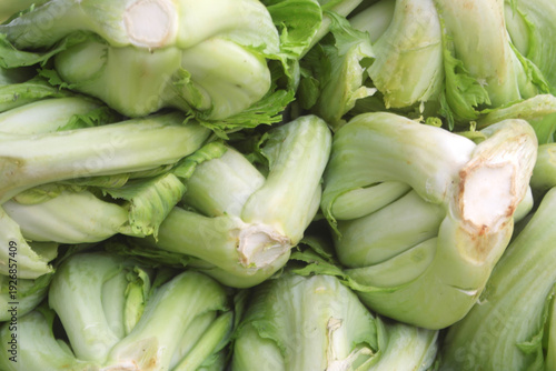 Photos Fresh chinese cabbage or choy vegetable as background