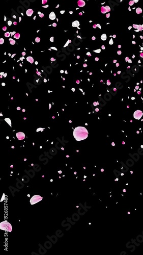 White and Pink Flower Petals Burst from Bottom Center Vertical Video Background with Alpha Channel, Realistic Ume Plum Blossom Explosion Animation Stock Video Overlay, Spring Celebration, 4K ProRes 44