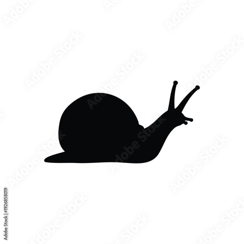 Snail silhouette icon vector flat design.
