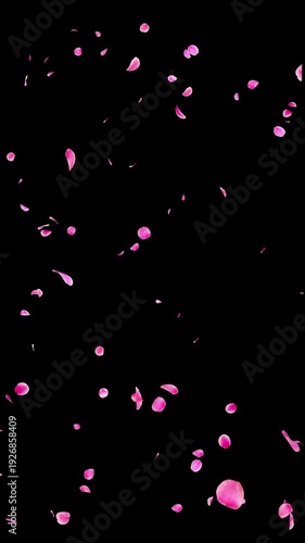 Seamless Loop Falling Pink Flower Petals Vertical Video Background with Alpha Channel, Natural Flow Ume Plum Blossom Animation Stock Video Overlay, Romantic Spring Wedding Celebration, 4K ProRes 4444