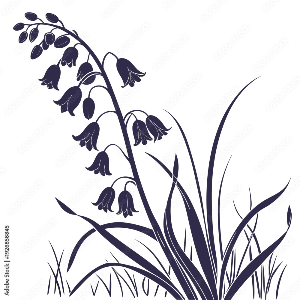 Naklejka premium muscari silhouette on white background