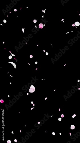 Seamless Loop Falling White and Pink Flower Petals Vertical with Alpha Channel, Realistic Ume Plum Blossom Spring Wedding Celebration Background, 4K ProRes 4444