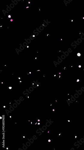 Seamless Loop Falling White and Pink Flower Petals Vertical with Alpha Channel, Realistic Ume Plum Blossom Diagonal Drift, Spring Wedding Celebration Background, 4K ProRes 4444