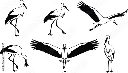 Stork silhouette collection with standing walking flying landing and feeding poses