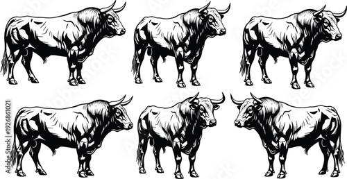 Strong Bull Animal Silhouette Set Detailed Farm Livestock Illustration Isolated on White Background