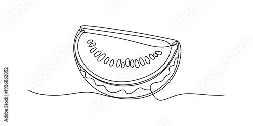 Minimalist continuous line art drawing of a tomato slice showing seeds and cross-section details Vector, illustration