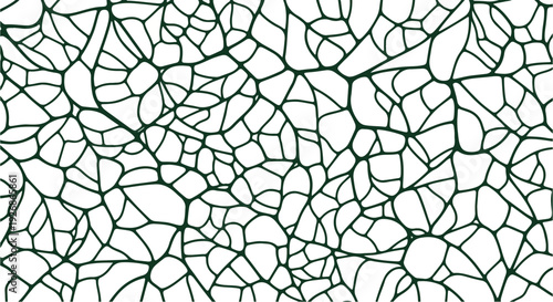 Dark green cracked pattern on a white background with irregular shapes and lines.