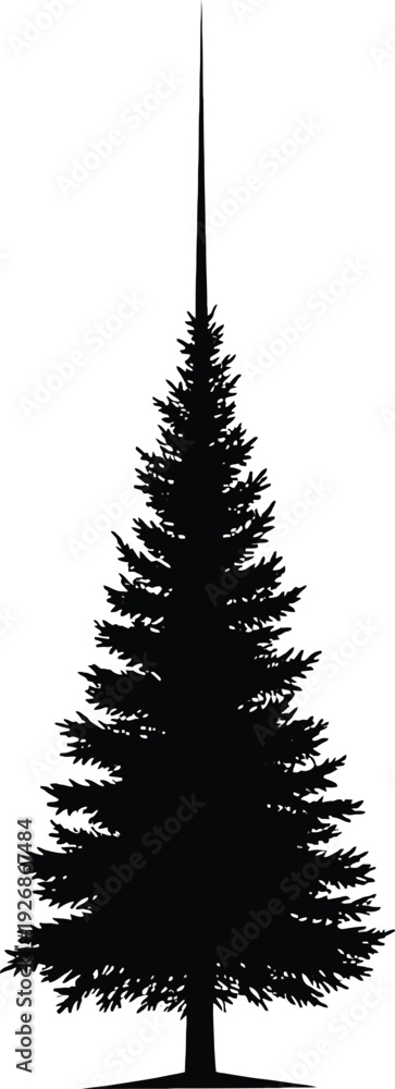 Fototapeta premium Black Pine Tree Silhouette Isolated on White Background