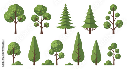 Collection of various cartoon trees in different shapes and sizes on a white background with a flat 2D illustration style.
