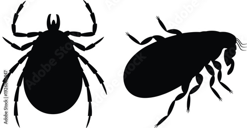 Tick and flea silhouette vector set for pest control services, parasite prevention education, lyme disease awareness, and pet health infographics