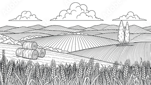 Line drawing of a scenic rural landscape with rolling hills, clouds in the sky, hay bales, fields of wheat, and two tall trees, conveying tranquility.