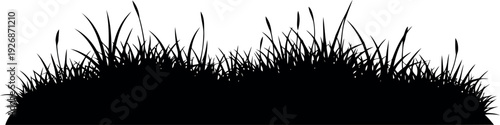 Black Silhouette of Tall Grass Border Isolated on White Background for Nature Design