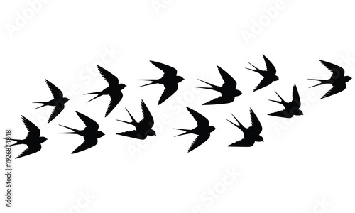 Flock of swallows flying together in a vector graphic illustration showcasing their elegant silhouettes and synchronized flight patterns against a clean white background
