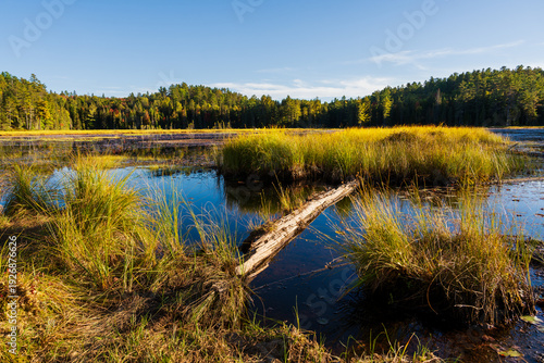 Algonquin Provincial Park, Kanada, Ontario, Wanderung im Herbst entlang der Beaver Ponds
