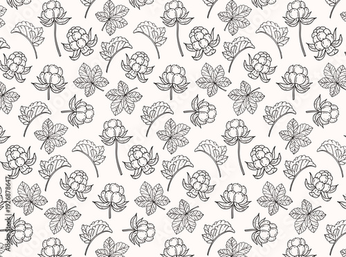 Cloudberry seamless pattern with hand drawn berries and leaves in black and white line art on soft light background, nordic forest berry repeat vector for textile, wallpaper, wrapping paper, packaging