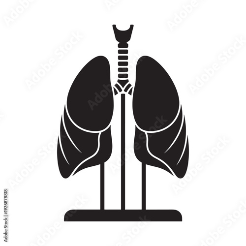 Illustration of human lungs and trachea in a simple graphic style