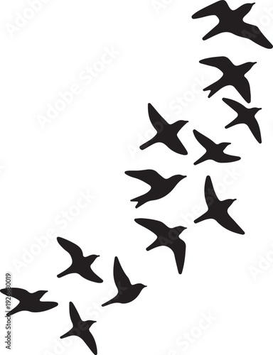 silhouette of flying birds vector art illustration