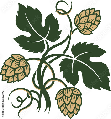 Illustration of hops plant with leaves and cones, a symbol of brewing and beer production