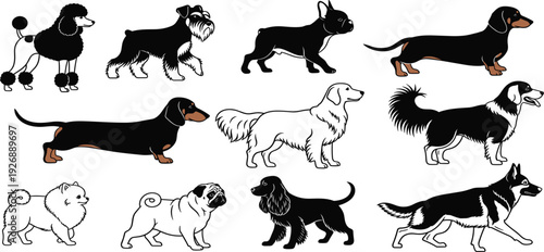 Dog Breeds Silhouette Collection with Poodle, Dachshund, Bulldog, Pomeranian and Other Canine Profiles for Pet Logo, Mascot, Veterinary and Grooming Design