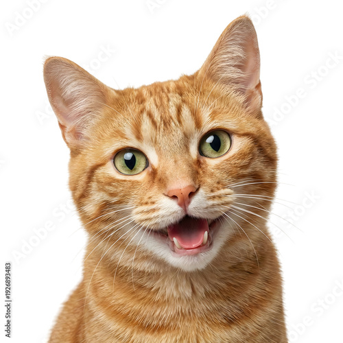 Close-up of a happy ginger cat with green eyes, mouth open, isolated on transparent background.