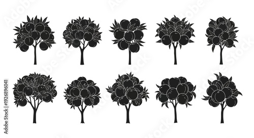 Set of black silhouette trees with round crowns and various leafy details on white background