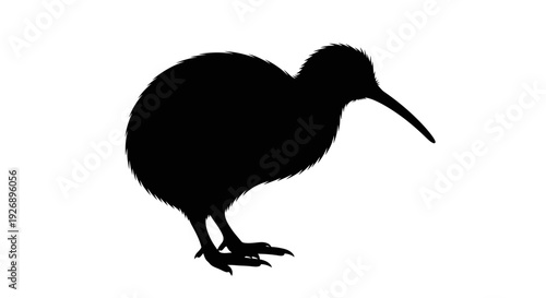 Black silhouette of a kiwi bird standing on white background side view detailed outline