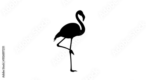 Black flamingo silhouette standing on one leg on a white background.