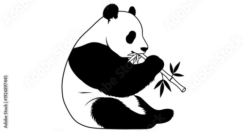 Black and white illustration of a giant panda bear eating bamboo.