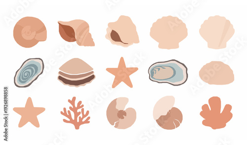 Soft Cartoon Seashell Collection Vector Set for Summer Beach Marine Design