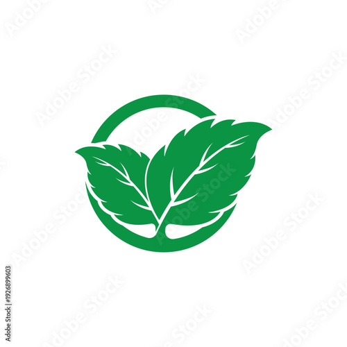Clean and scalable mint leaf logo vector symbol template for brand identity.
