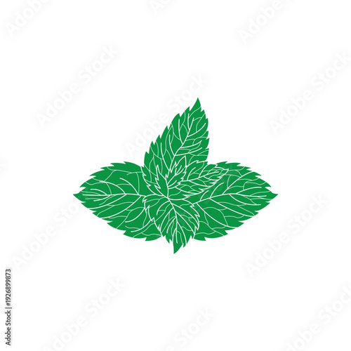 Clean and scalable mint leaf logo vector symbol template for brand identity.