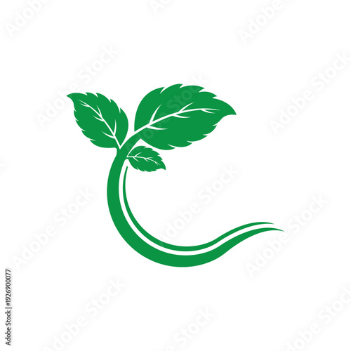Clean and scalable mint leaf logo vector symbol template for brand identity.