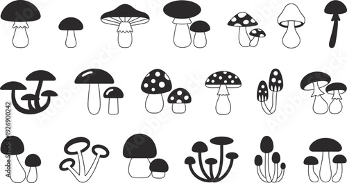 Collection of black and white illustrated mushrooms with various shapes and patterns fungi nature