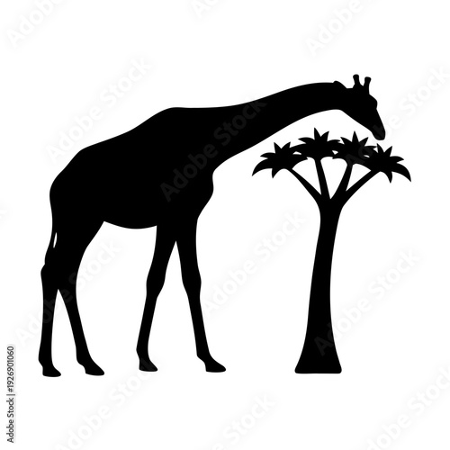 A giraffe standing beside a tall palm tree in silhouette Vector